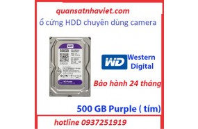 Ổ cứng HDD tím purple 500GB chuyên camera